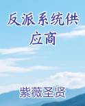 反派系统供应商免费小说