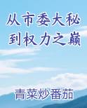 从市委大秘到权力之巅小说全集