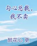勾心总裁，我不卖