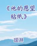 他的愿望 小说