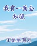 我有一面全知镜小说全集