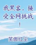 我黑客，接受全网挑战！在线阅读