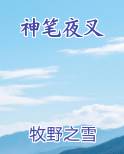 神笔夜叉全文免费阅读