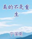 真的不是重生百度网盘下载