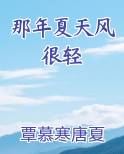 那年夏天风轻轻吹过是什么歌